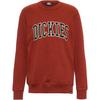 Dickies Aitkin Sweatshirt Herren - fired brick-gray