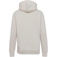 Rückansicht von CHAMPION Legacy American Classics Hoodie Herren silver lining