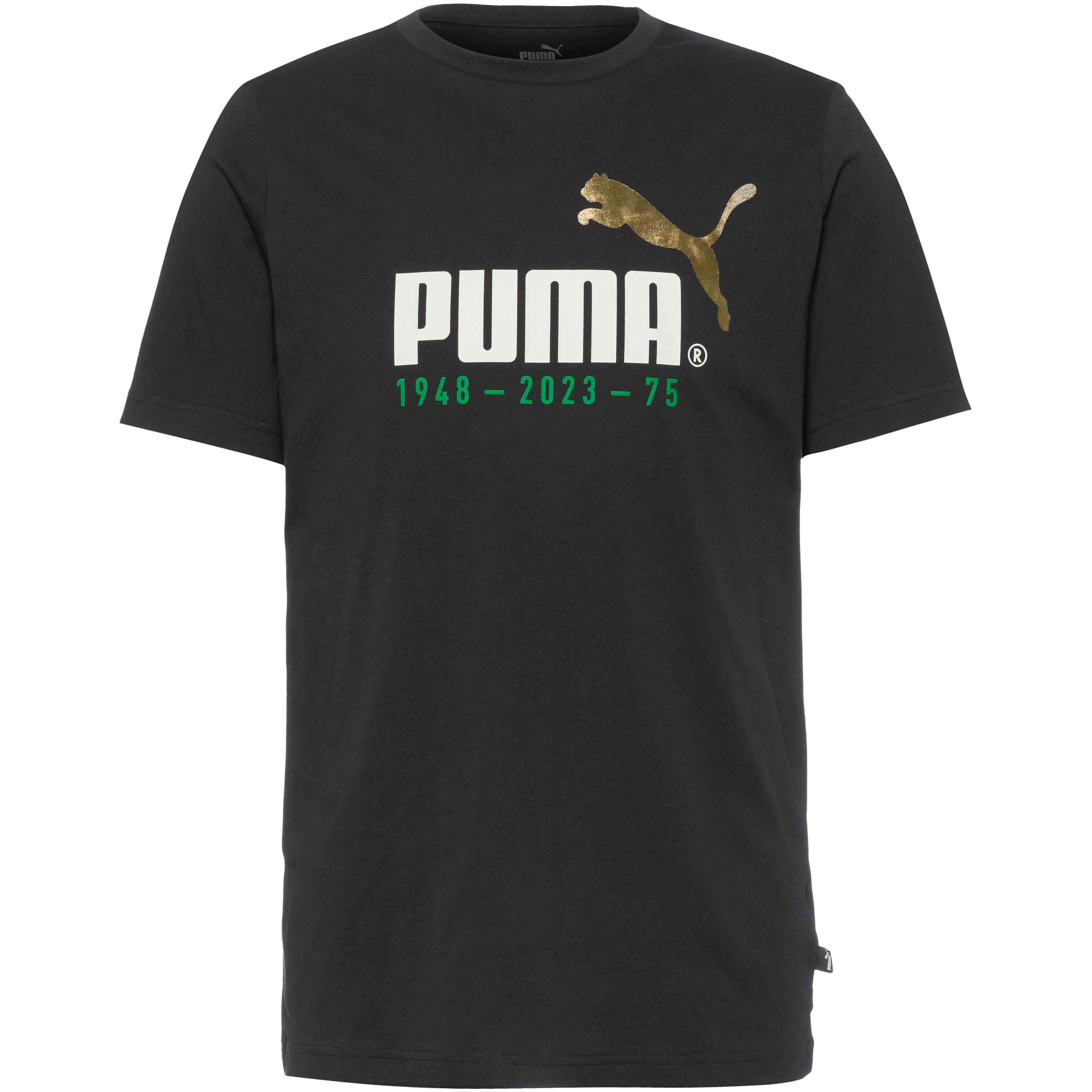 PUMA No. 1 Logo Celebration T-Shirt Herren