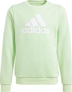 adidas Sweatshirt Kinder semi green spark-white