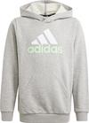 adidas Hoodie Kinder - medium grey heather-white-semi green spark