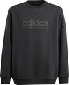 adidas ALLSZN GFX Sweatshirt Kinder - black-black