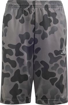 adidas TRAIN ESSENTIALS AOP Funktionsshorts Kinder grey six-black-grey four