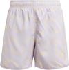adidas WVE CLX SL Badehose Jungen - silver dawn-spark