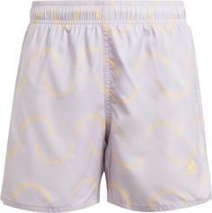 adidas WVE CLX SL Badeshorts Kinder silver dawn-spark