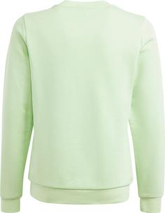Rückansicht von adidas Sweatshirt Kinder semi green spark-white