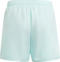 Rückansicht von adidas ESSENTIALS L CLX Badeshorts Kinder semi flash aqua-green spark