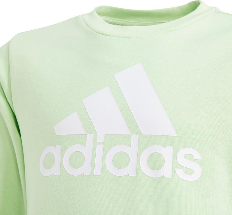 adidas adidas Sweatshirt M&auml;dchen - semi green spark-white - 0 | SportScheck