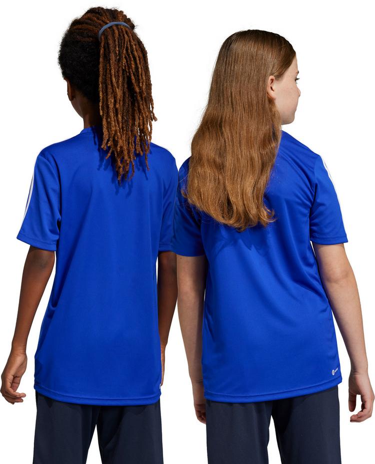 adidas adidas Trainingsanzug Jungen - lucid blue-white - 1 | SportScheck