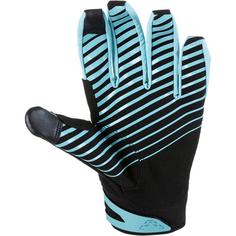 Rückansicht von Dynafit Radical 2 Fingerhandschuhe marine blue