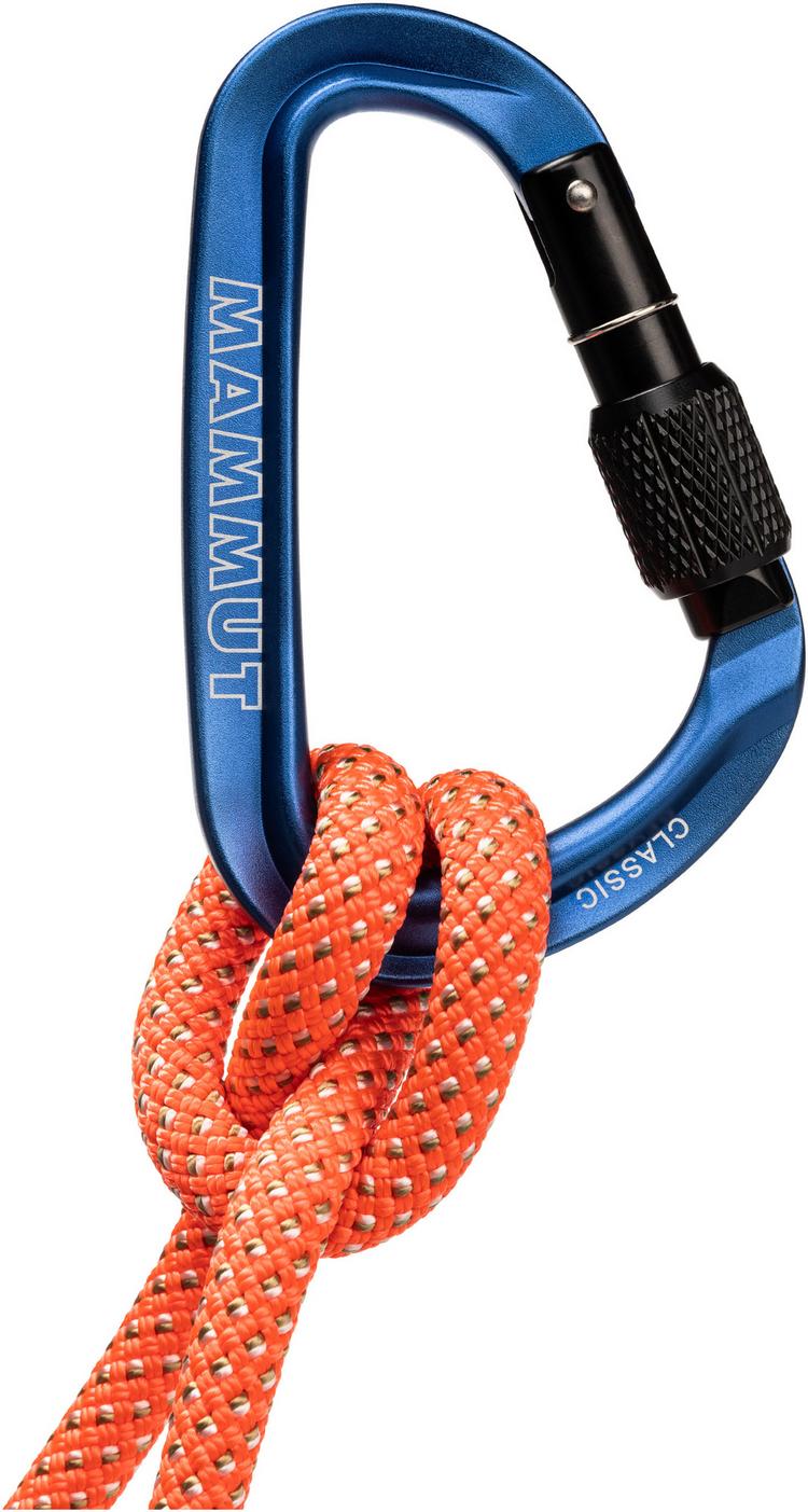 Mammut Mammut Classic HMS Screwgate Karabiner - blue - 0 | SportScheck