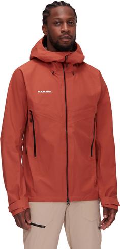 Rückansicht von Mammut GORE-TEX Crater IV Hardshelljacke Herren brick