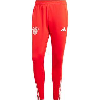 adidas FC Bayern München Trainingshose Herren red-bright red-white