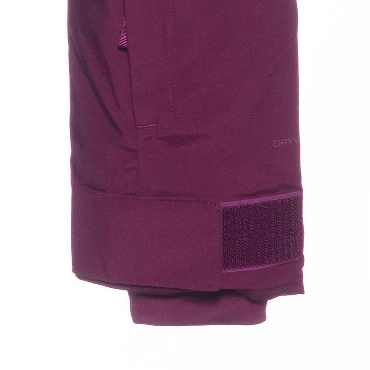 The North Face The North Face DESCENDIT Skijacke Damen - boysenberry - 1 | SportScheck