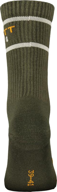 Rückansicht von SCOTT Retro Casual Crew Fahrradsocken green