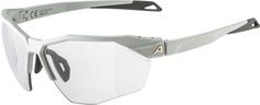 ALPINA TWIST SIX HR V Sportbrille smoke-grey matt