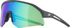 ALPINA SONIC HR Q-LITE Sportbrille midnight-grey matt