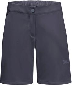 Jack Wolfskin HIKING ALPINE Funktionsshorts Damen graphite