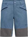 Jack Wolfskin HIKING ALPINE Funktionsshorts Herren - elemental blue