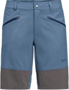 Jack Wolfskin HIKING ALPINE Funktionsshorts Herren elemental blue