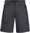 Jack Wolfskin ACTIVE TRACK Funktionsshorts Herren - phantom