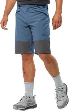 Rückansicht von Jack Wolfskin HIKING ALPINE Funktionsshorts Herren elemental blue