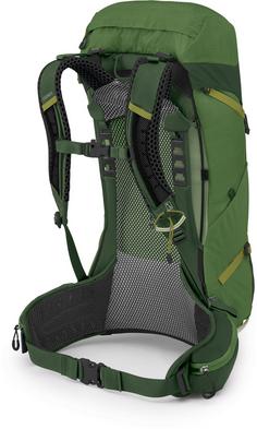 Rückansicht von Osprey Stratos 26 Wanderrucksack Herren seawees-matcha green