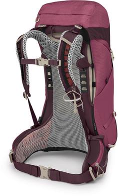 Rückansicht von Osprey Sirrus 26 Wanderrucksack Damen elderberry purple-chiru tan