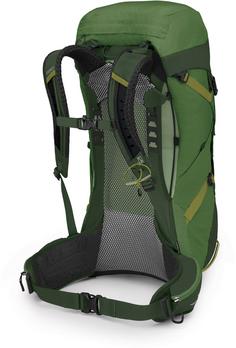 Rückansicht von Osprey Stratos 36 Wanderrucksack Herren seaweed-matcha green