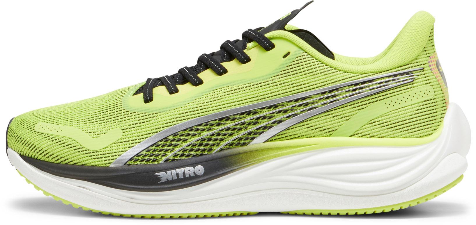 Sportscheck puma online