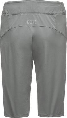 Rückansicht von GOREWEAR Passion Fahrradshorts Herren lab gray