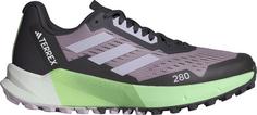 adidas TERREX AGRAVIC FLOW 2 Trailrunning Schuhe Damen prlofi-sildaw-segrsp