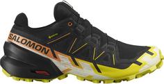 Salomon GTX SPEEDCROSS 6 GTX Trailrunning Schuhe Herren black-sulphur spring-bird of paradise