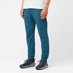 Rückansicht von Salomon WAYFARER EASE Wanderhose Herren deep dive