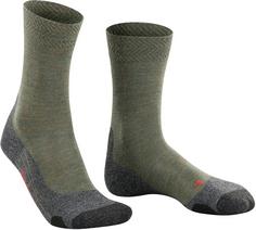 Rückansicht von Falke TK2 Explore Wandersocken Herren ivy green