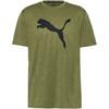 PUMA TRAIN FAV HEATHER CAT Funktionsshirt Herren - olive green heather