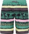 Protest FRISBY Badehose Jungen - frosty green