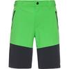 OCK Funktionsshorts Herren - classic green