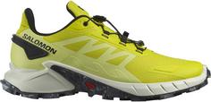 Salomon SUPERCROSS 4 Trailrunning Schuhe Herren sulphur spring-vanilla ice-black