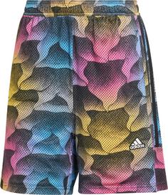 adidas Tiro Shorts Damen multicolor