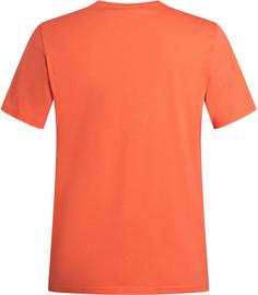 Rückansicht von Peak Performance Big Logo T-Shirt Herren orange adventure