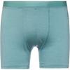 Odlo MERINO 160 Unterhose Herren - arctic