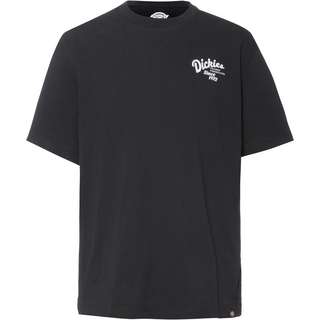Dickies Raven T-Shirt Herren black