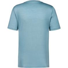 Rückansicht von Odlo MERINO 160 Funktionsshirt Herren arctic