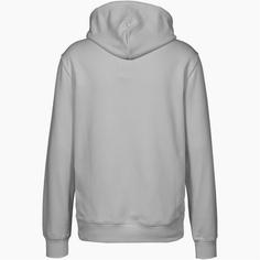 Rückansicht von CHAMPION Legacy Hoodie Herren vaporous grey