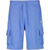 New Era Cargoshorts Herren - light blue