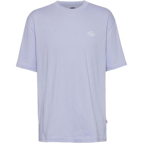 Dickies Summerdale T-Shirt Herren