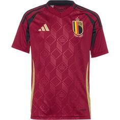 adidas Belgien EM24 Heim Fußballtrikot Kinder team coll burgundy