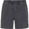 Quiksilver Everyday Badehose Herren - black