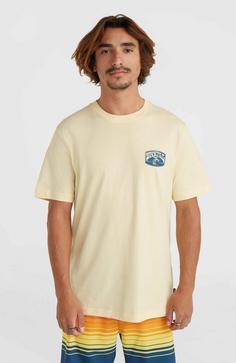 Rückansicht von O'NEILL Beach T-Shirt Herren paris daisy